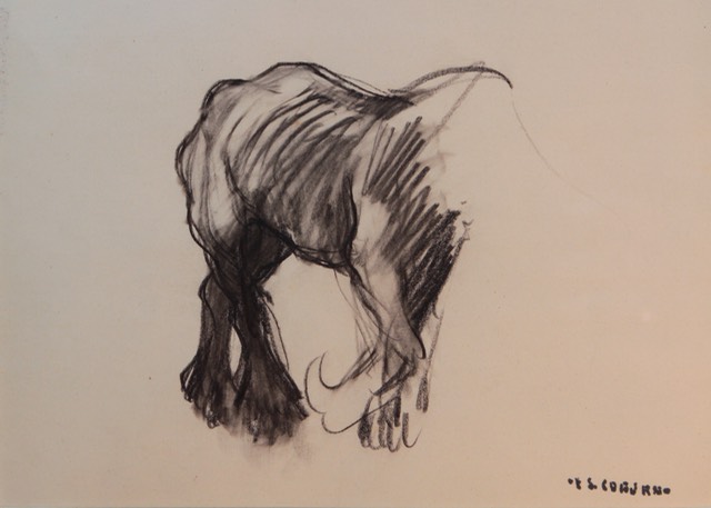 F S Coburn Horse Unframed Final